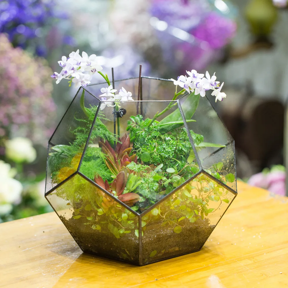 

Extra Large Handmade Polyhedron Glass Geometric Terrarium Box Tabletop Succulents Fern Moss Plants Box Planter Flower Pot Bonsai