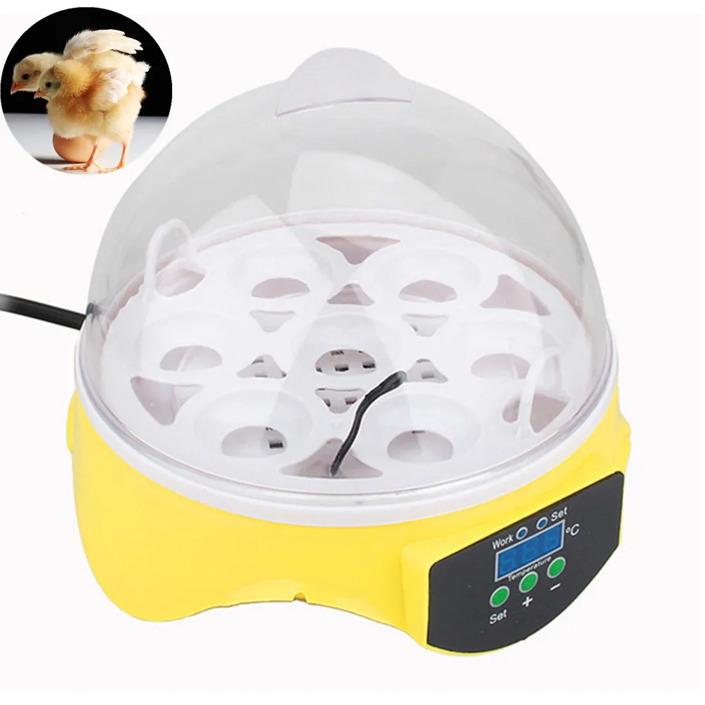 инкубаторы для яиц автоматический бесплатная доста|incubator for eggs|incubator chicken eggsincubators