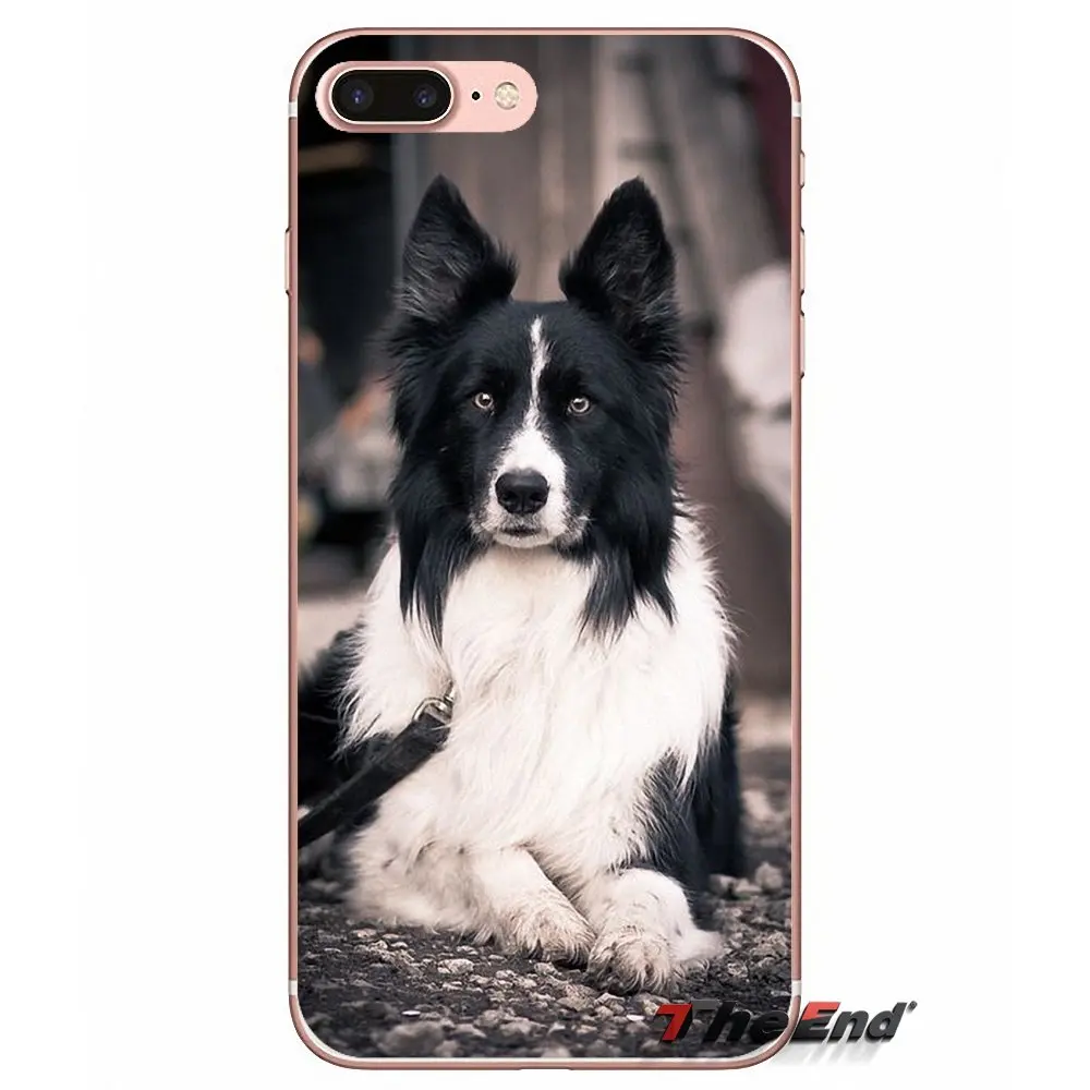 Мягкий силиконовый чехол для iPhone X 4 4S 5 5S 5C SE 6 6S 7 8 Plus Samsung Galaxy J1 J3 J5 J7 A3 A5 2016 2017 Border Collie