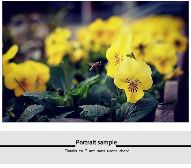 7 ремесленников 25 мм f1.8 Prime объектив для всех одиночных серий для E Mount Canon EOS-M Mout Micro 4/3 камеры A7 A7II A7R
