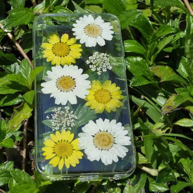 Boxkeya 100% DIY Handmade Natural Real Dried Flowers Cases For iphone X 6S 7 Plus 8 5S Clear Soft TPU Back Cover Coque |