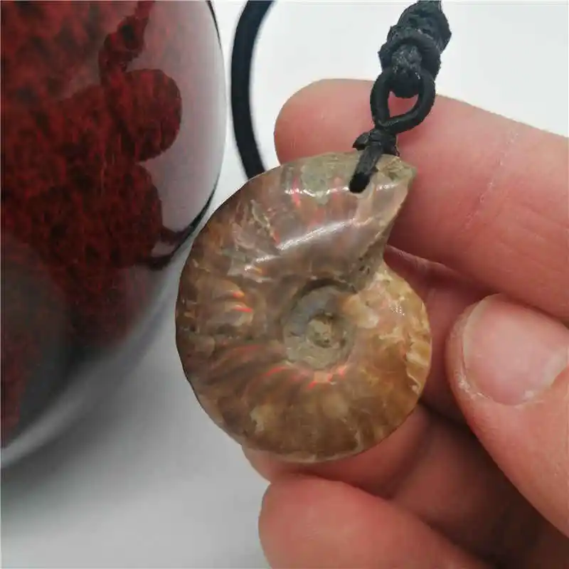 Wholesale 1PC Natural conch pendant snail leaf fossil ammonite hanging piece lucky crystal stone screw transporter | Украшения и