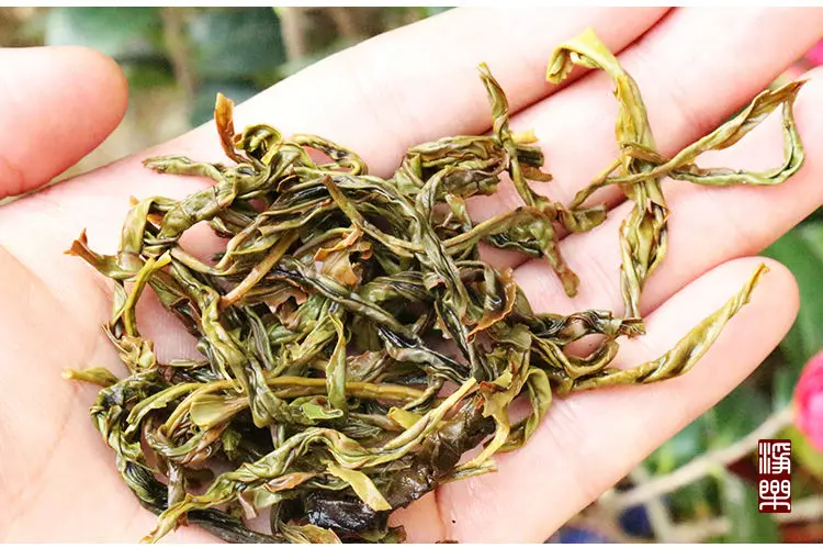 500 Г новый чай известный manworkship Гортензия macrophylla слабый запах Улун Chaozhou Фэнхуан