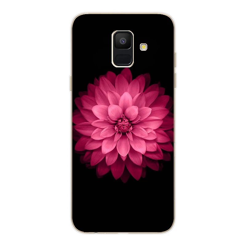 Case For Samsung Galaxy A6 Plus 2018 Cartoon Cover Soft Silicone Phone Back for A 6 600 610 Fundas Coque |