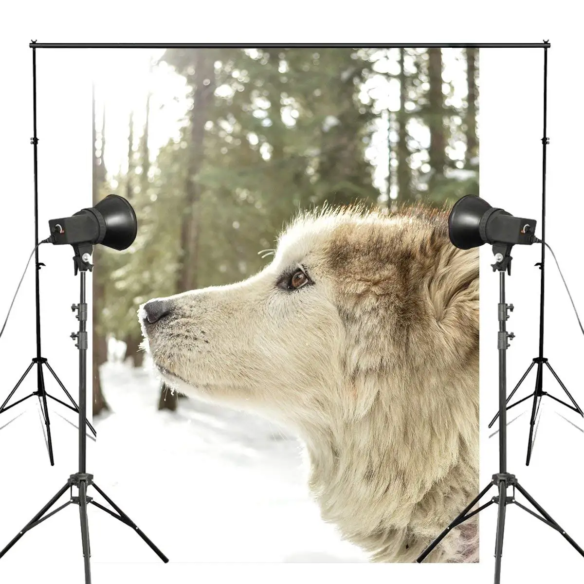 Собака в зимней фотографии фон Лес Снег студия реквизит стены 150x220 см |