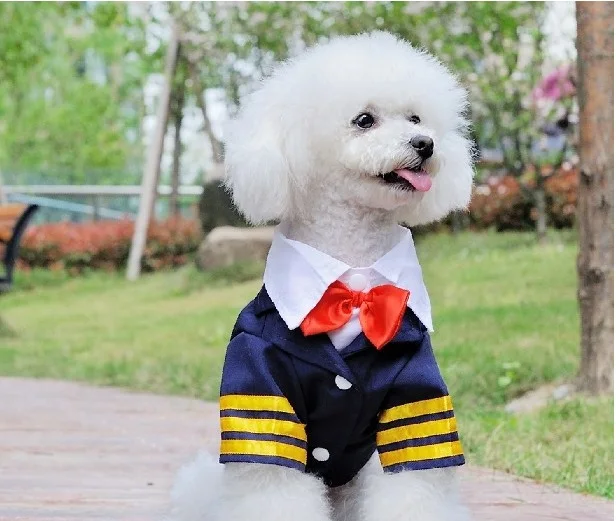 FY53 2017 Бесплатная доставка модная Синяя Униформа с галстуком бабочкой для