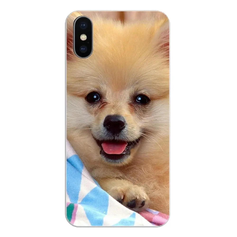 Soft Silicone Case Blue Nose Pitbull Pomeranian DOG For Xiaomi Mi6 Mi 6 A1 Max Mix 2 5X 6X Redmi Note 5 5A 4X 4A A4 4 3 Plus Pro |
