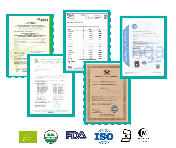 

USDA and EC Certified Organic kelp powder