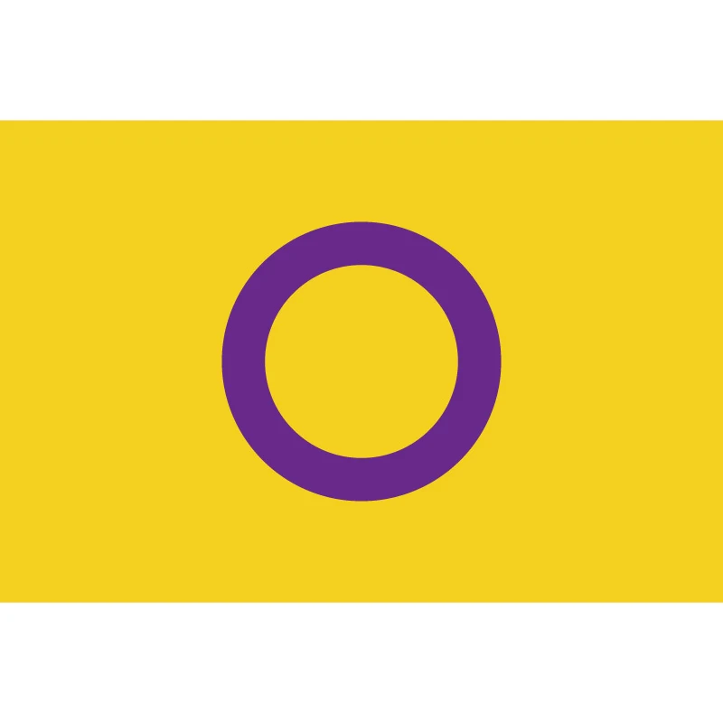 LBGT Intersex флаг ПРАЙД флаги и растяжки 90*150 см (3*5 футов)/60*90 см/40*60 полиэстер украшения