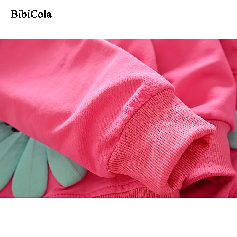 BibiCola/2019 комплекты одежды для маленьких девочек весенне осенний спортивный