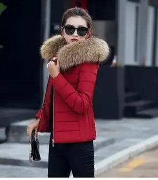 Winter new short large fur collar cotton female Korean version of the slim slimming cotton down jacket