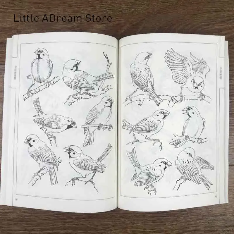 

Chinese Painting Line Drawing Hundred Birds finches Painting Spectrum Book / Traditional Chinese Gong Bi Painting Book 94 Page