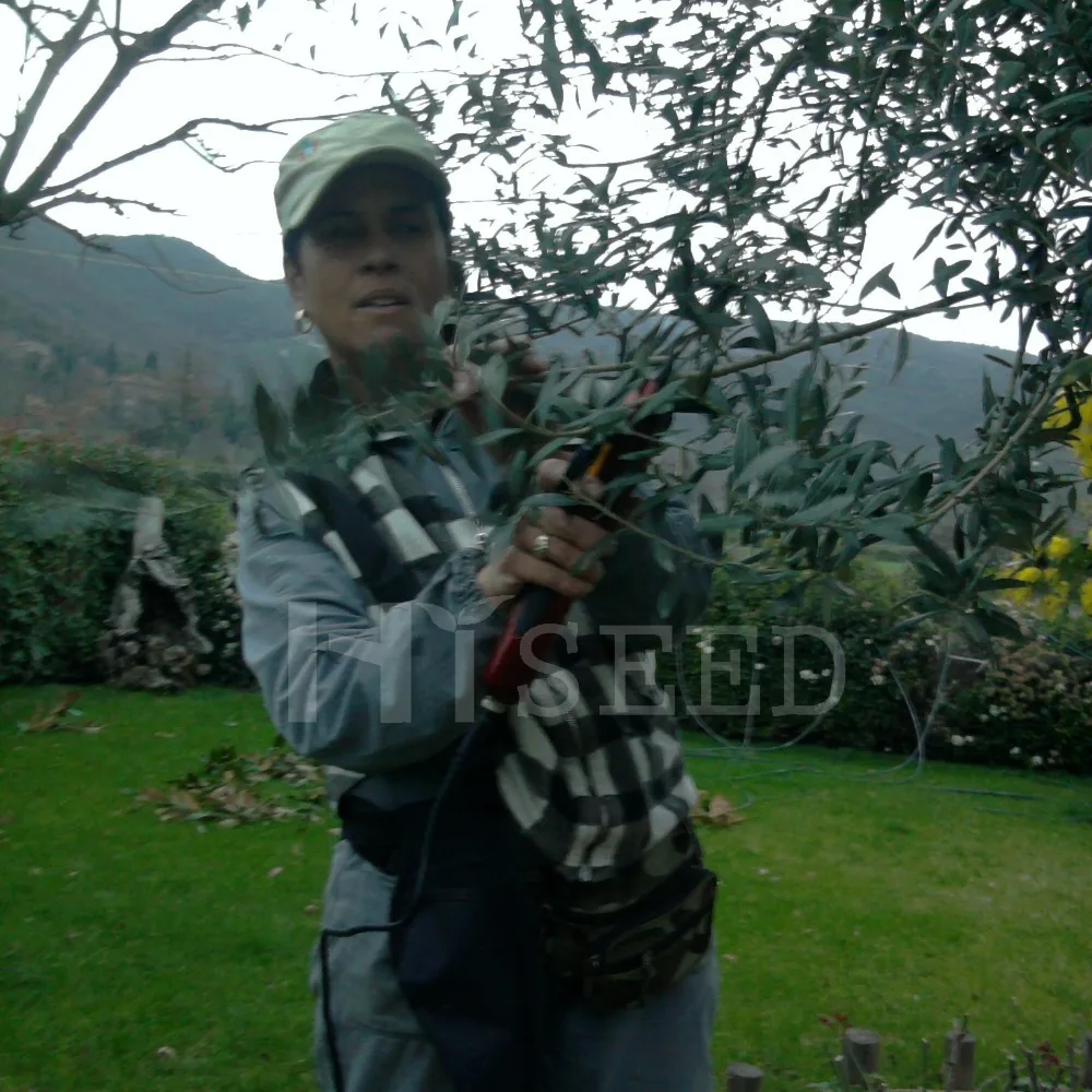 Два набора HDP36 литий ионный аккумулятор Электрический секатор перезаряжаемый