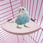 Новый домашний питомец Птица Попугай деревянная платформа кронштейн игрушка хомяк Ветка Птица Клетка игрушка 3 размера зоотовары
