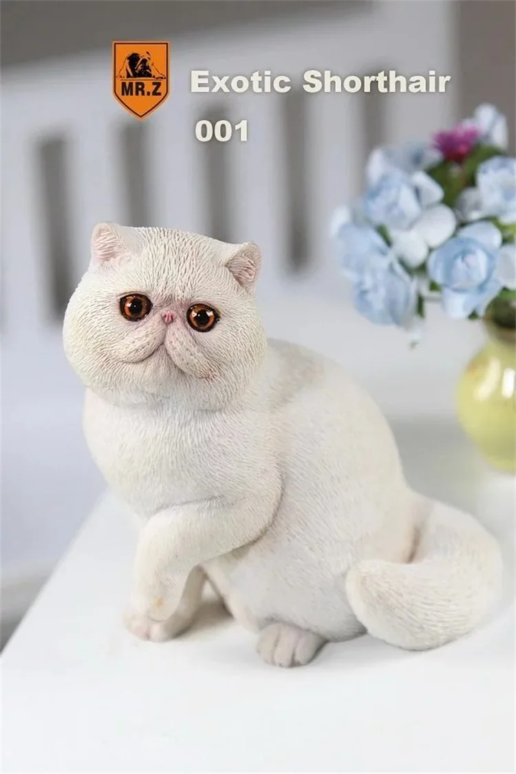 MR. Z серия «животные» № 8 1/6 экзотические короткошерстной кошки персидская кошка Гараж Комплект для детей возрастом от 1" фигурку сцена DIY украшения автомобиля