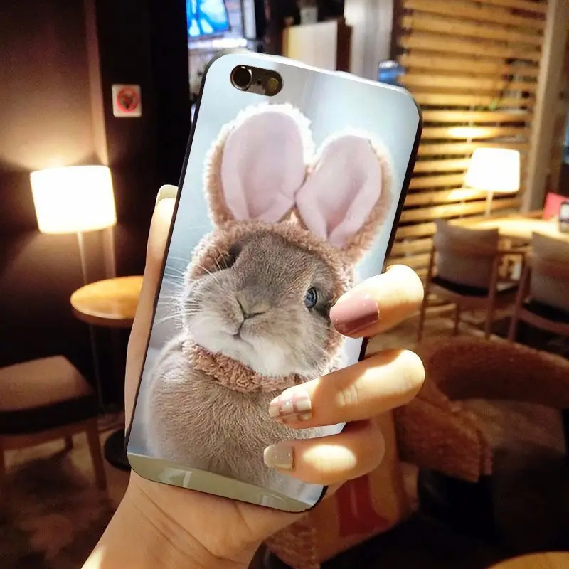 MaiYaCa животное большие уши кролики чехол для iPhone X 8 7 6 6S Plus 5 5S SE 4S | Мобильные