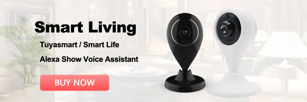 720P IP камера беспроводная Wifi сетевая камера наблюдения уличная Водонепроницаемая совместимая с Alexa Echo Show и Google Home