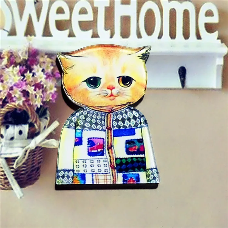 1 шт Meow Star People акриловая брошь значки Pin рюкзак для женщин и мужчин Одежда булавка