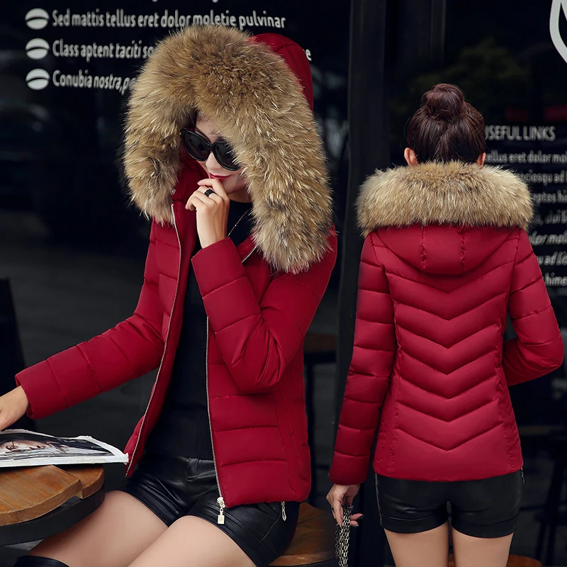 Six Senses 2017 Winter Women Coat Hooded Long Sleeve Jacket Big Fur Collar Short Slim Thick Fashion Warm Parkas HLM0009 | Женская одежда
