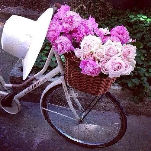 

DIY Diamond Painting Needlework Novelty Square Full Diamond Embroidery Pattern flower, bike and hat of Painting pictures HY1683