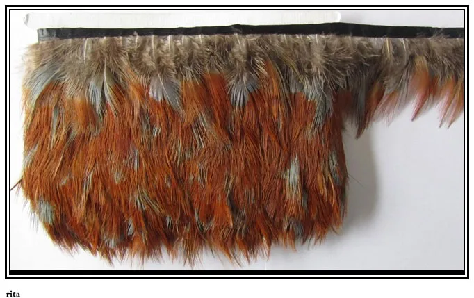 

Free shipping Ringneck Pheasant feathers/peacock feather/ostrich feather 10 yards trim pheasant feather trim for costumes