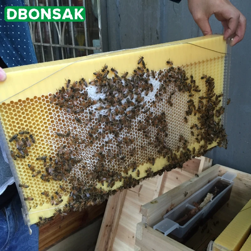 Автоматическая медовая Коллекционная рамка гнездо пчеловод пищевая пластиковая медовая расческа блок пчелиная селезенка коробка инструменты для пчеловодства