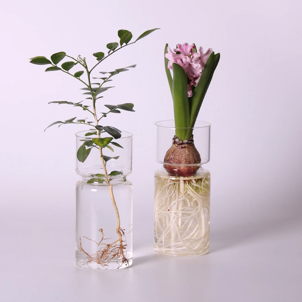 Прозрачный DIY пейзаж Стеклянная Бутылка Контейнер цветок ваза гиацинт