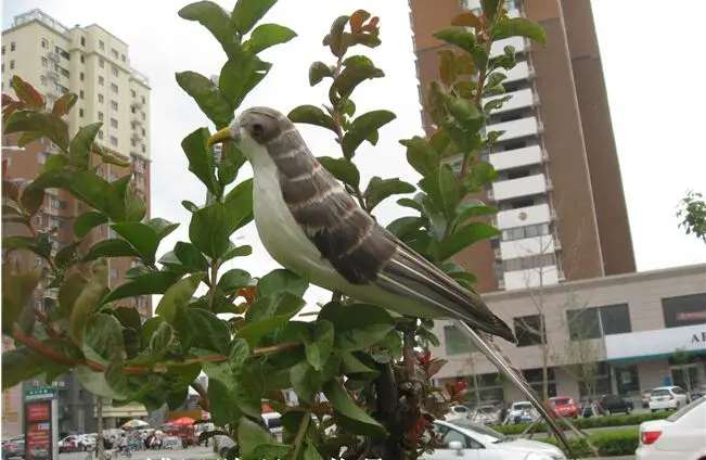 

Искусственная птица, серые перья, птица 25 см, модель ручной работы, украшение для дома и сада, подарок a2535