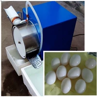 3000 pcs per hour egg washing machine egg cleaning machine for chicken duck goose eggs