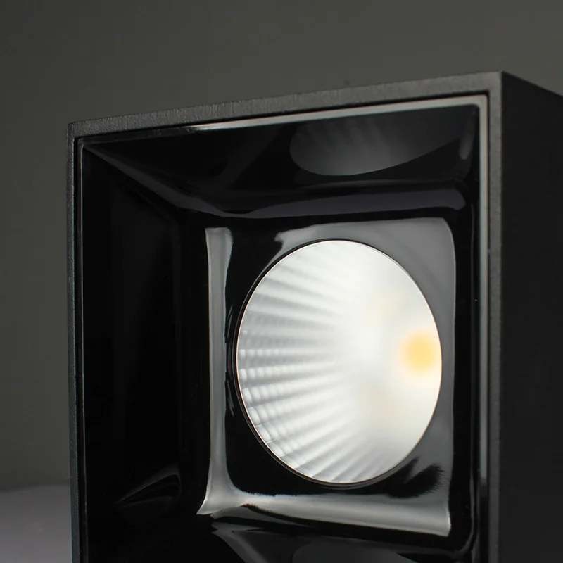 Goede Aisilan Opbouw Led Plafond Spotlight Dubbele Hoofd Vierkante Cob Woonkamer Gang Gangpad Plafond Spot Light Cube Lamp