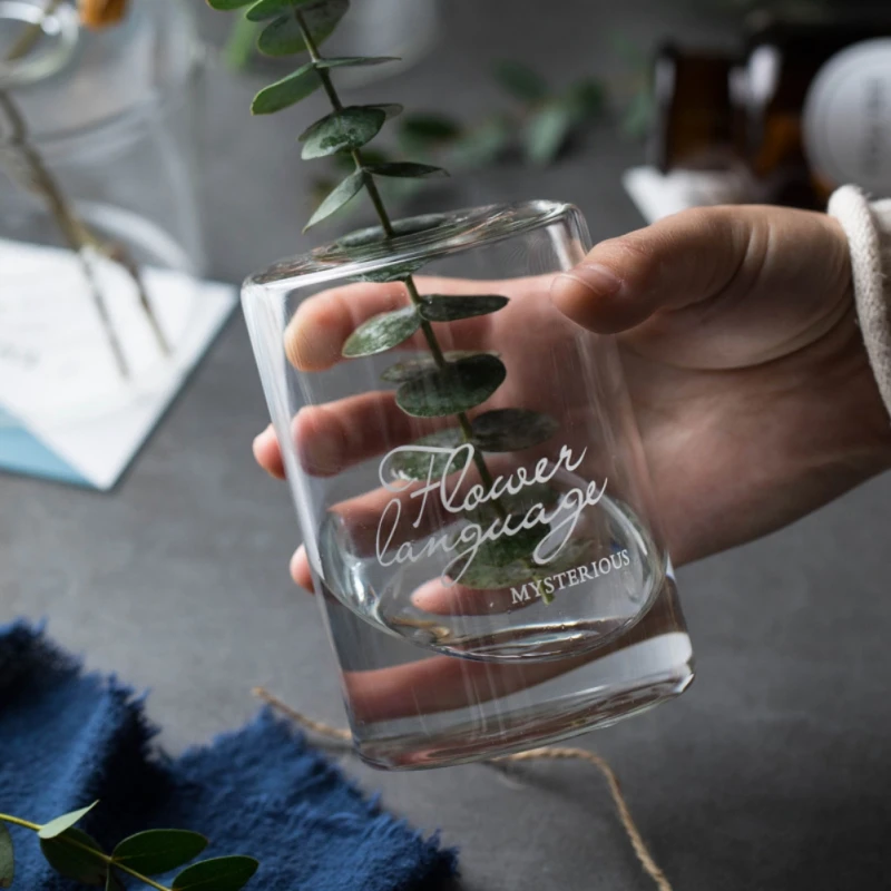 Домашняя прозрачная стеклянная ваза гиацинт цветочный горшок с буквенным