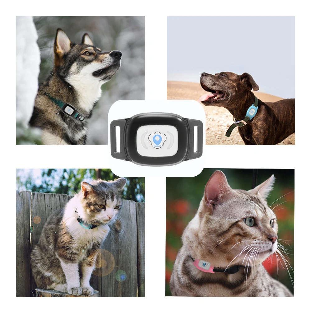 Мини Водонепроницаемый Кошка Собака gps, трекер, GPRS GSM LBS Pet gps локатор ошейник бесплатное приложение в режиме реального времени отслеживание истории запись устройства сигнализации