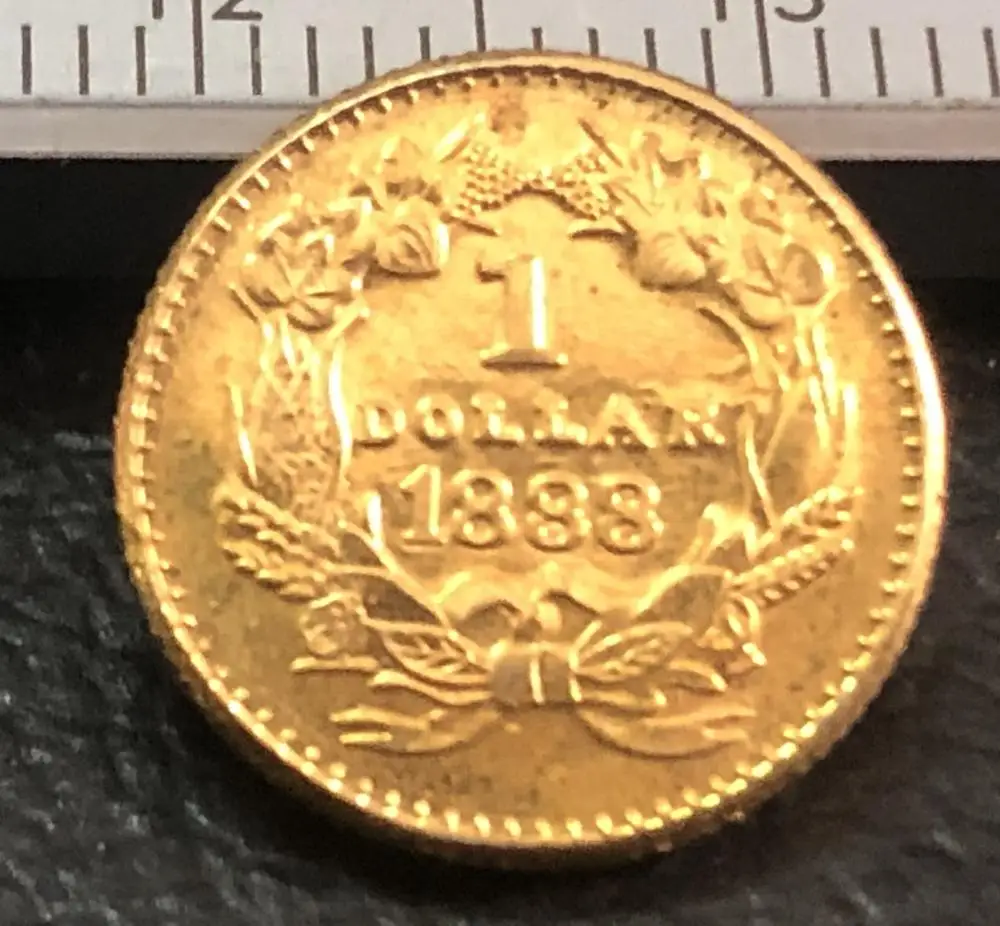 1888 индийская принцесса $1 золотой доллар | Дом и сад