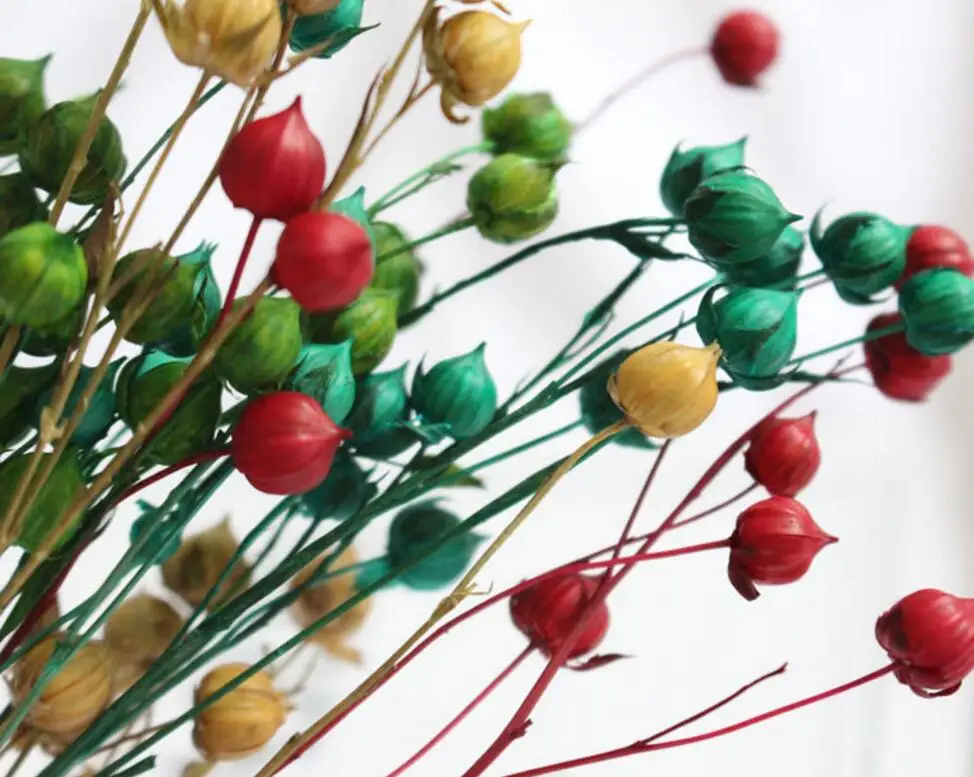 200 шт. сохраненные сушеные льняные фрукты цветы для рукоделия Подарочный