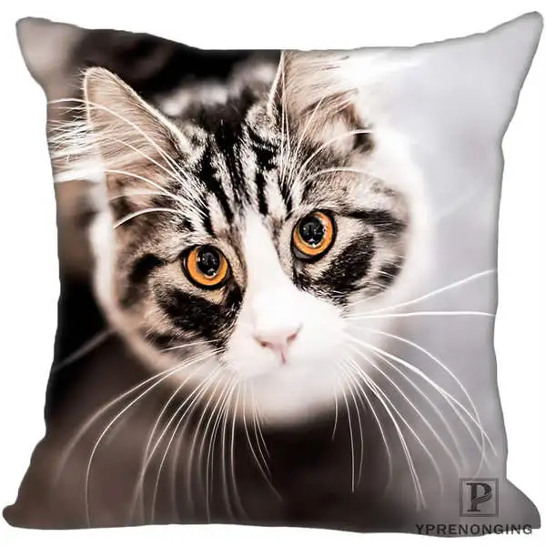 Square Pillowcases Custom Decorative Pillowcase Cats Kitten Rain Square Zippered Pillow Cover(One Side)80527-21-03 - Цвет: Square Pillowcases