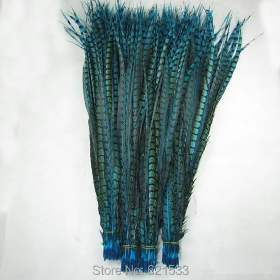 

60pcs 35-40" 90-100cm Long Lady amherst side tail pheasant feather dyed Sky Blue/Turquoise Colour