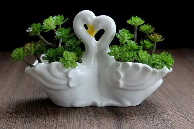 Современный домашний декор Zakka белый керамический цветочный горшок с двойным лебедем креативный сад маленький цветочный горшок декоративный горшок бонсай плантатор