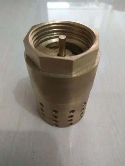 1 'ɽN25 латунный внутренний наружный линейный пружинный вертикальный обратный