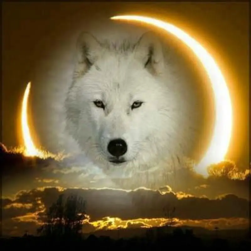 5D алмазная живопись сделай сам волк квадратная Алмазная вышивка небо пейзаж