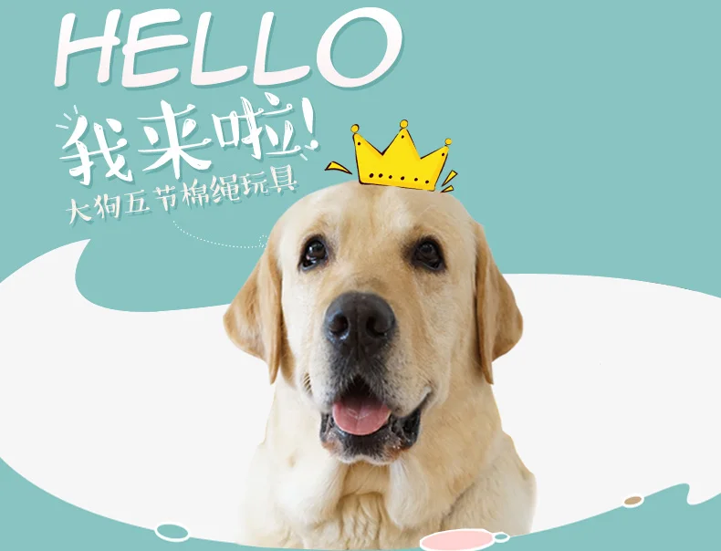 Pet toys bite-resistant knot interactive grinding stick large dog chewing gum golden retriever dog tooth cleaning toys