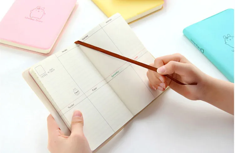 2018 Cute Rabbit Diary Kawaii Calendar Planner 2019 Program Notebook Notepad Pocket Journal For Gift School WJ-XXWJ311- | Канцтовары для