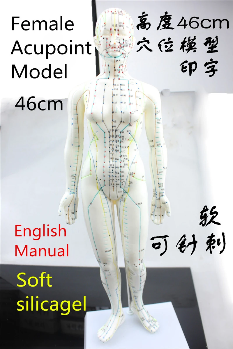 Женская акупунктурная модель 46 см|acupuncture massager|acupuncture modelmassage massages |