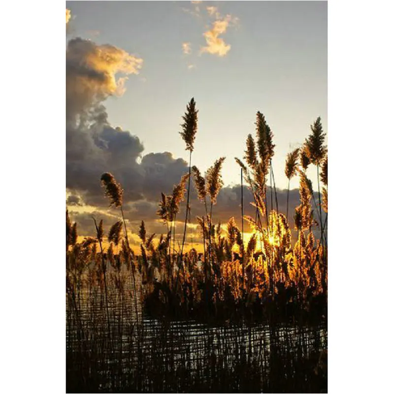 Алмазная 5D Вышивка сделай сам пейзаж иконы полные квадратные стразы мозаика