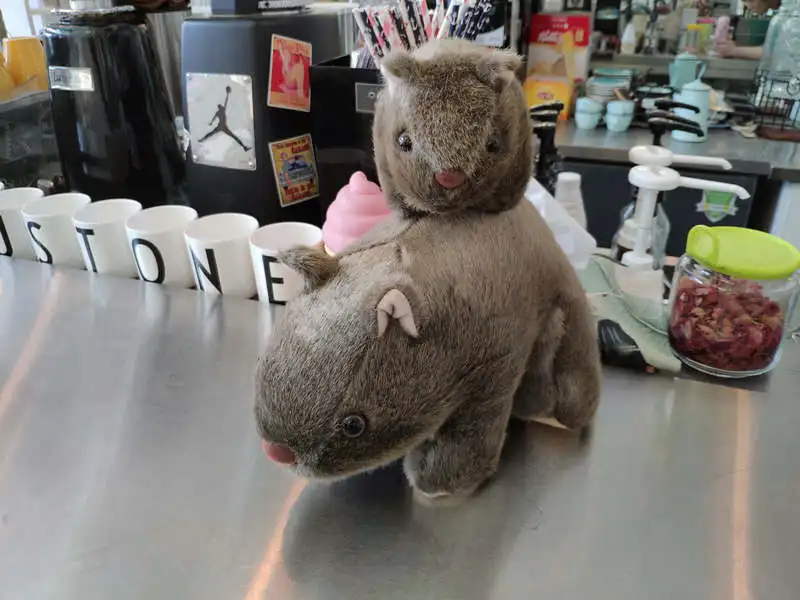 1 шт. 18 см Моделирование Плюшевые вомбат свинки Cavia Porcellus игрушка чучело дикие животные куклы игрушки для малышей, детей подарок Декор для дома, магазина