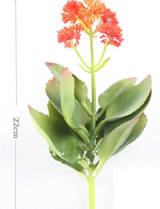 

Wholesale 120pcs Crassula Falcate Artificial Succulent Plant Plastic Flower Decoration Green Plant Background Free Shipping
