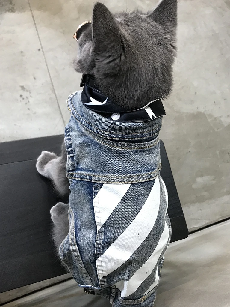 Симпатичные Pet джинсовый костюм для собаки кошки одежда домашних питомцев Кошки