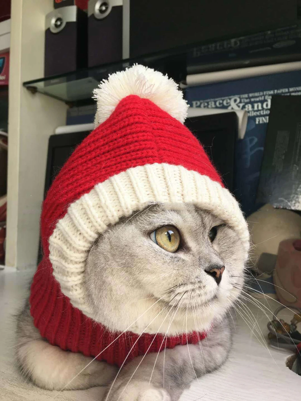 Knitted Pet Hat Warm Comfortable Lovely Dog Hats For Pets Cats Winter Warm Knitting Dog Cap Dog Beanie For Puppies Kittens