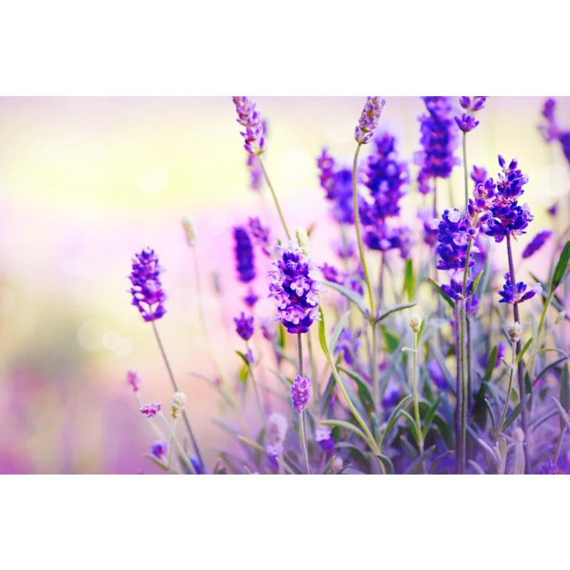 Светло голубой холст ткань тканевый плакат пользовательские граффити Печать на