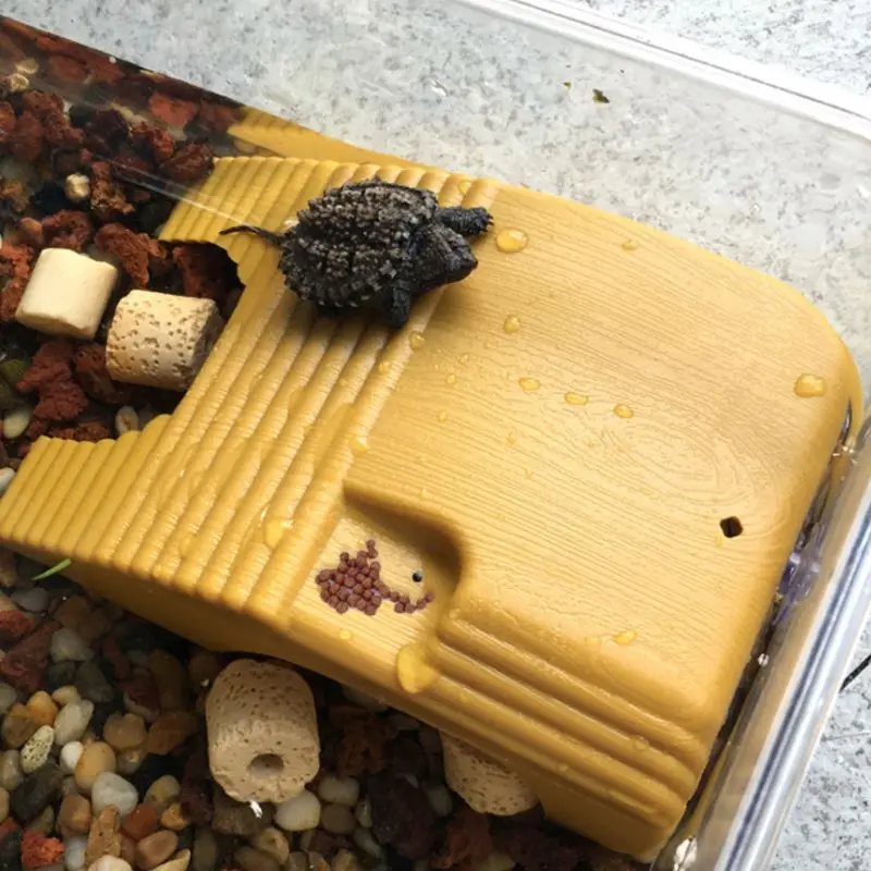 1 шт. платформа для рептилий черепаха аквариум амфибия водный подъем