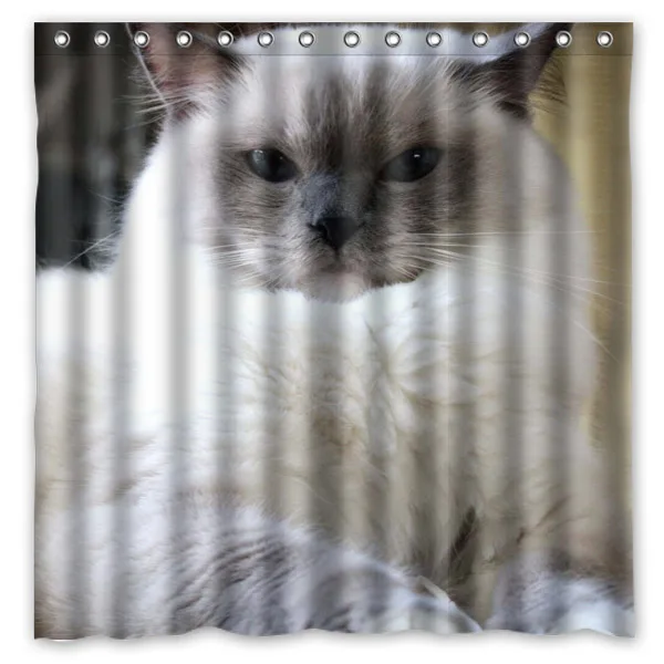 Пользовательские домашние занавески для ванной Ragdoll кошка водонепроницаемая